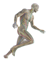 体は筋膜で全身が繋がっています。