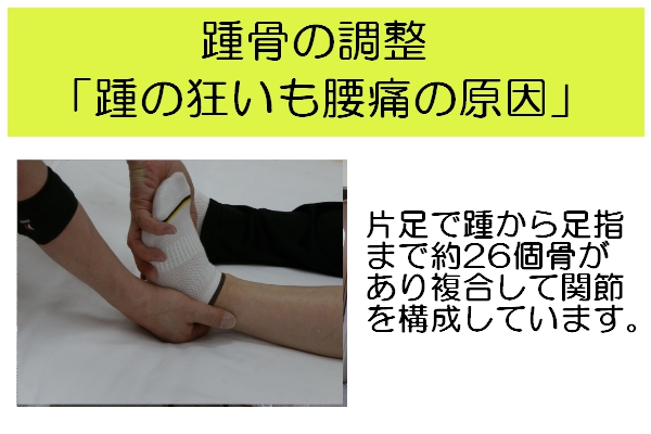 踵の狂いも腰痛の原因・片足で踵から足指まで26個骨があり複合して関節を構成しています